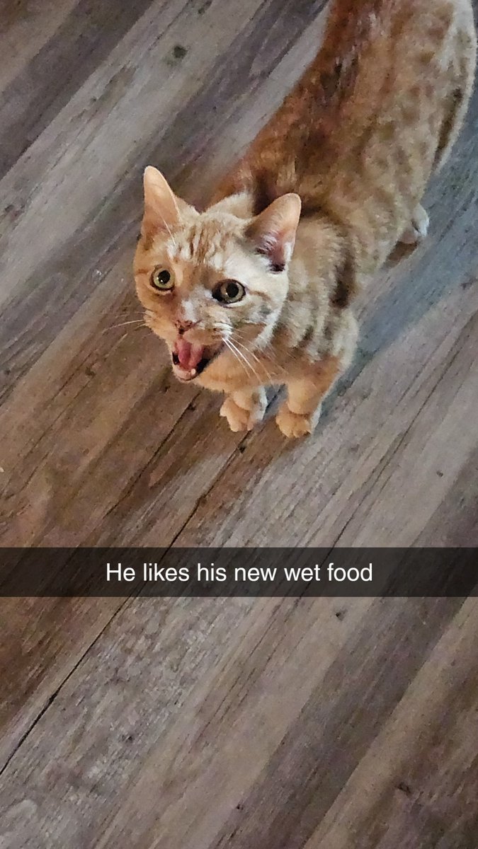 CaseyBenchLife's tweet image. 