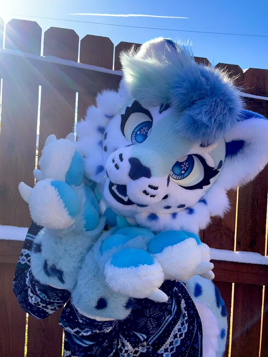 snowberrysnep's tweet image. if you see me at MFF please say hi!! I’m small and friendly and very nervous but full of snowflakes 🩵❄️🐾

pls:
✅ ask before touching me, my suit, or my wheelchair
✅ be patient (am nervous)
✅ ask to make tiktoks!

pls no:
🛑 touch without ask
🛑 follow me
🛑 flirt with me