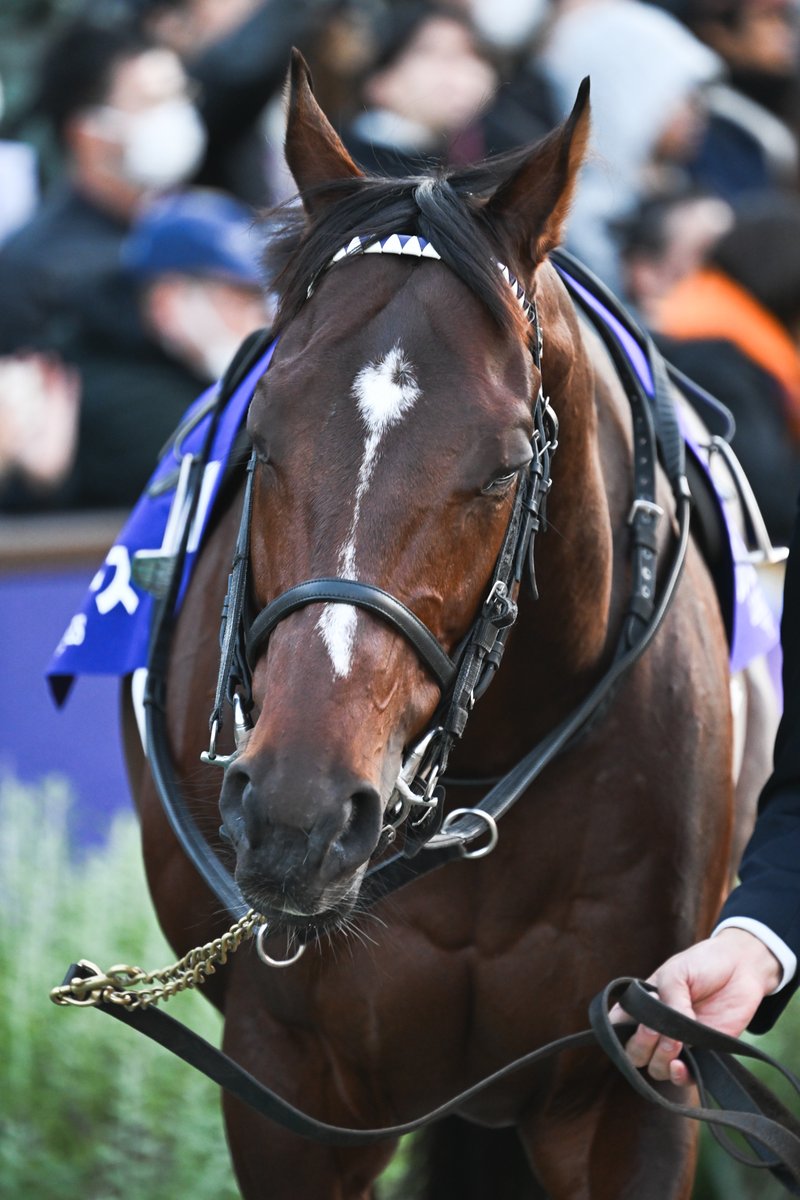 もんちゃん＠写真垢 (@mnch_pic) / Posts / X