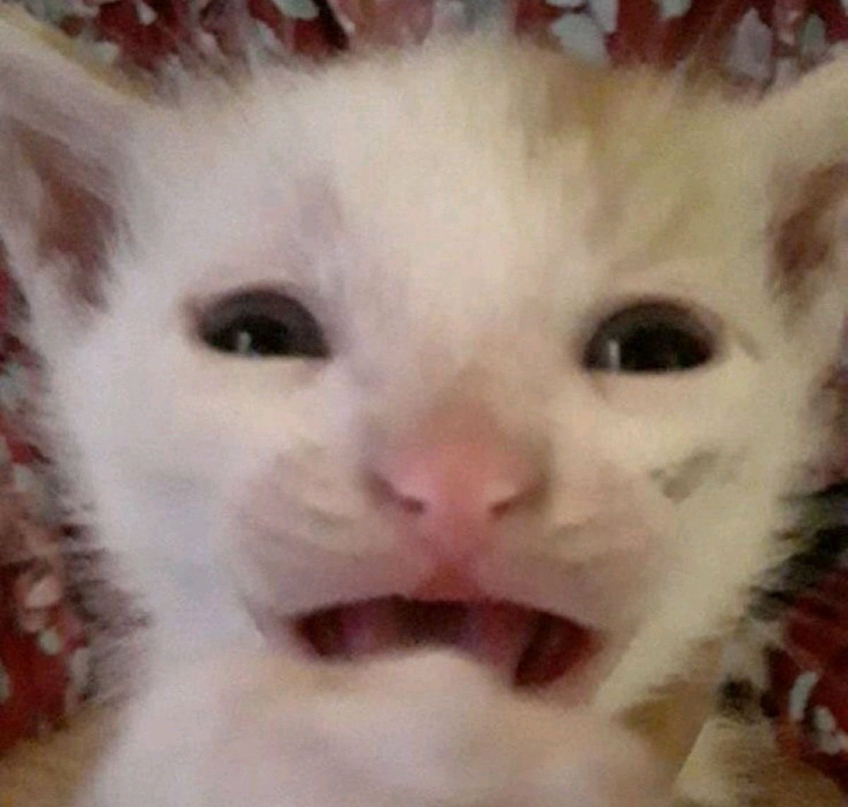 Samprdc's tweet image. 2eme jours sans caféine, j&apos;ai un mal de tête assez hard et 0 motivation j&apos;ai à peine commencé ma seance triceps avant bras mtn