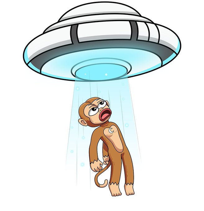 moonkeythecoin's tweet photo. 👽🚀 Moonkey's interstellar adventure begins! 🌌🐵

 Abducted by aliens but still aiming for the 🌙! 

Who else is ready to swing into the unknown?  

#Moonkey #ToTheMoon #memecoin #Solana #100xgem https://t.co/ZwpmB3nPpB