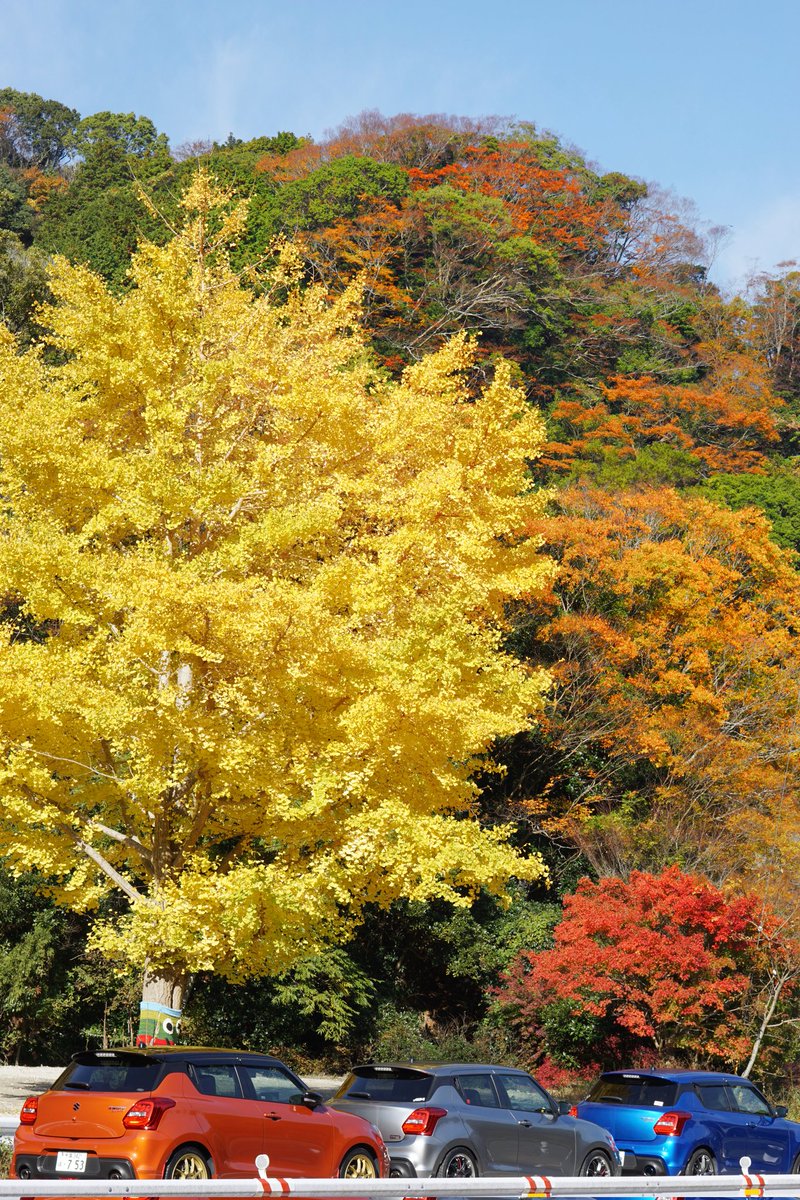 まさ@ZC33S@ZX4R (@puchi0209) / Posts / X