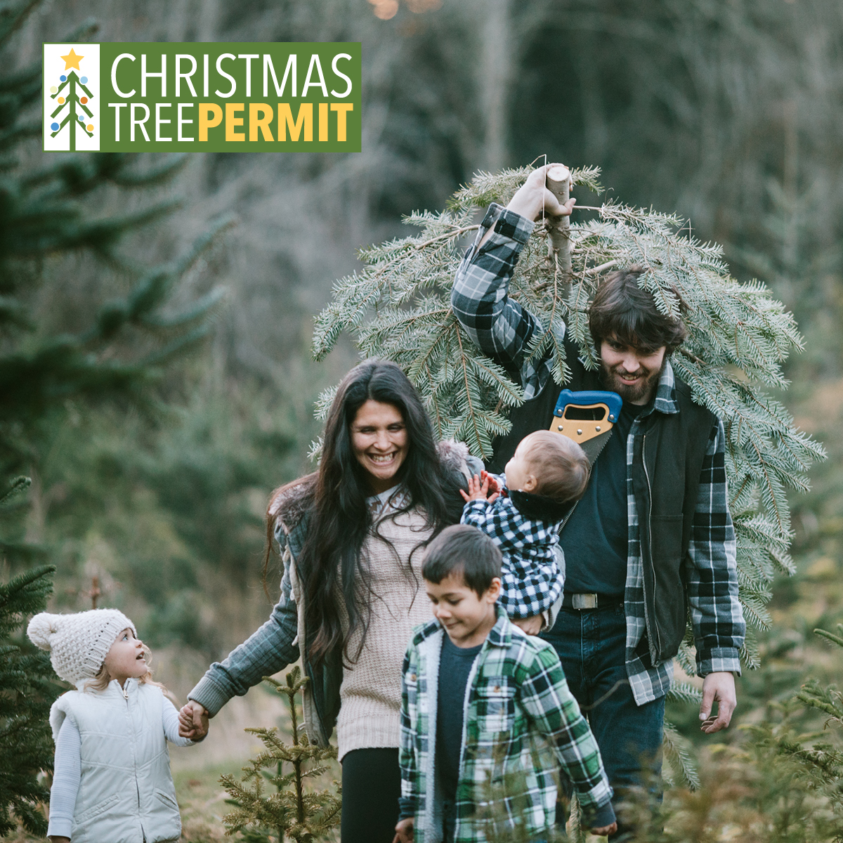 The holiday season is officially upon us, and if you don’t have your tree yet, then now is the time to make a plan cut down your own tree with your loved ones on the Chippewa National Forest.

Sleigh on over to Recreation.gov to get your Christmas Tree Permit!