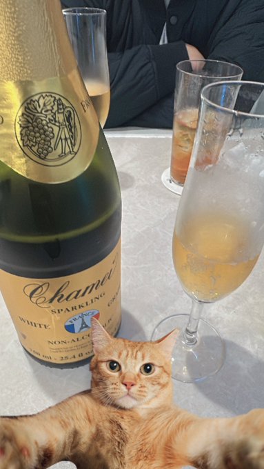 Concept cafe MoaRabiのツイート