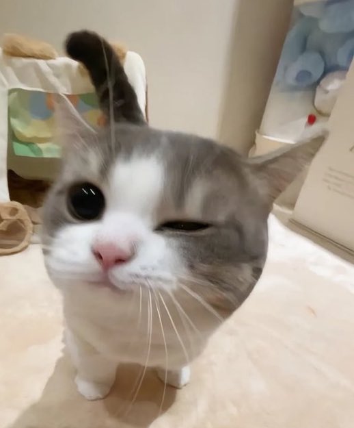 Wiktoria 💖 tweet media