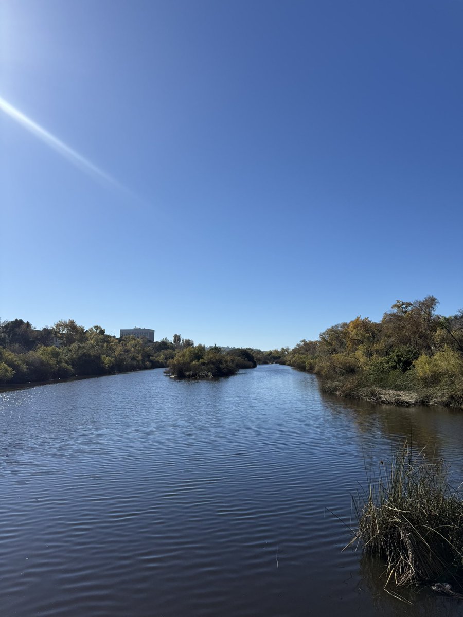 Nothing like a midday walk to clear the mind