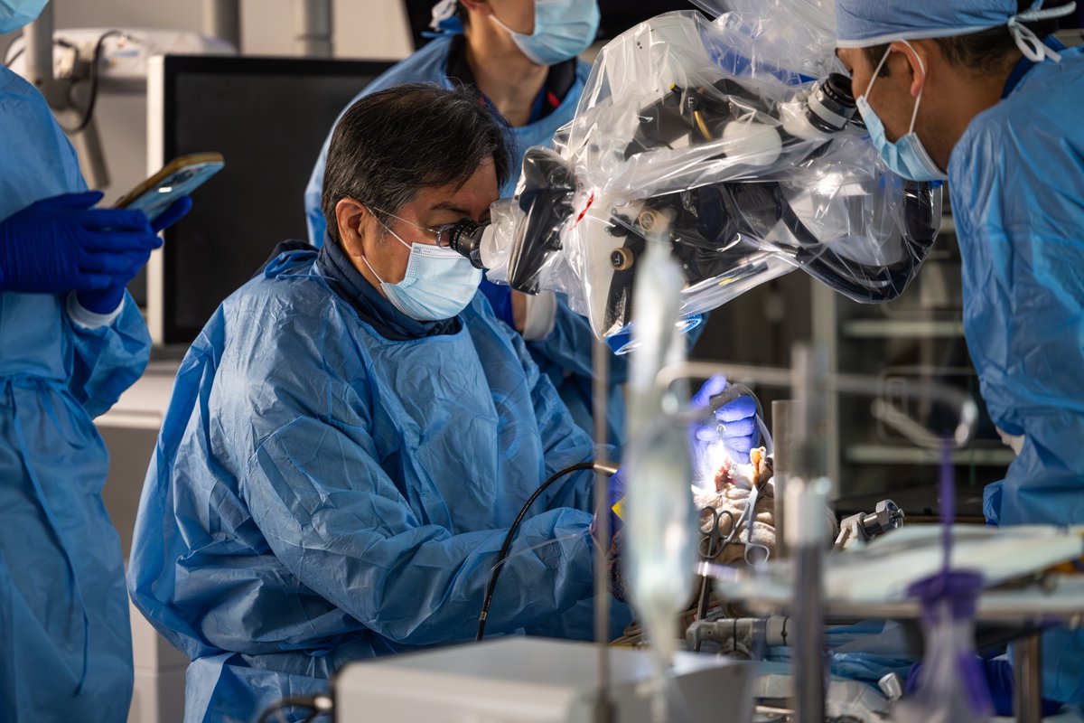 Maryland Neurosurgery tweet media