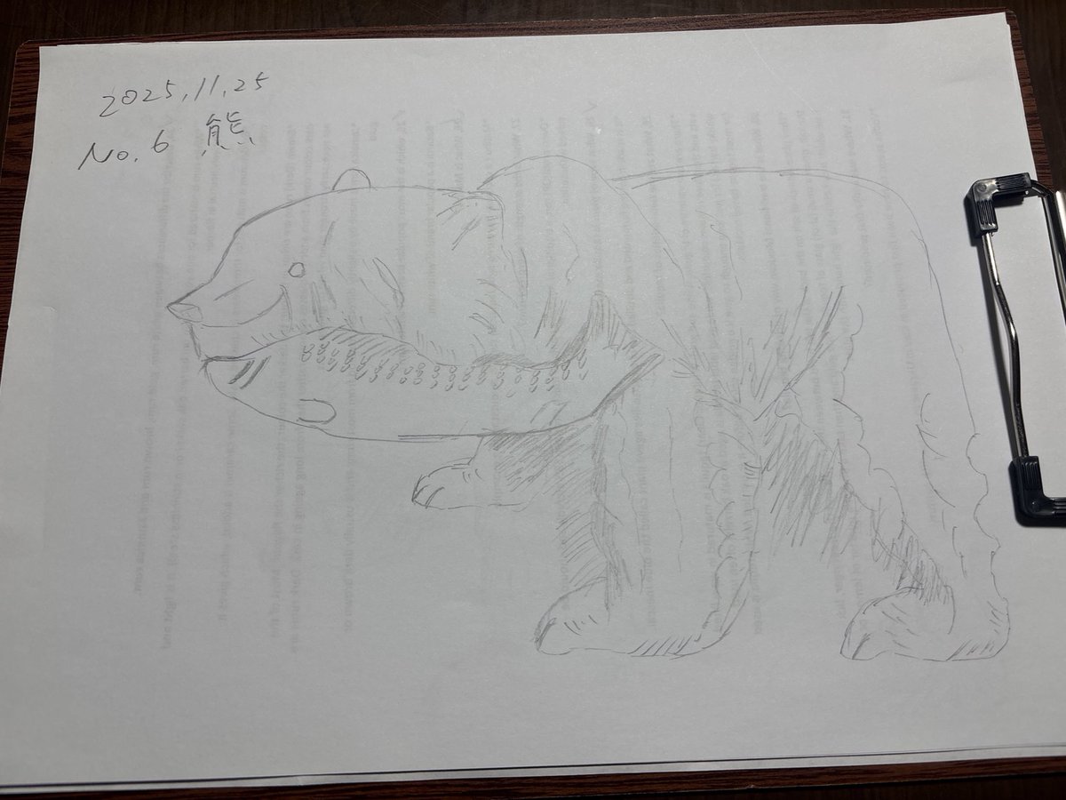 alex_enjoylife1's tweet image. 今日の熊さん　6日目

一昨日足回りを描いたお陰で、今回の足回りは少し良くなった気がする。

今日は魚を中心に描こう！

#スケッチ　#熊