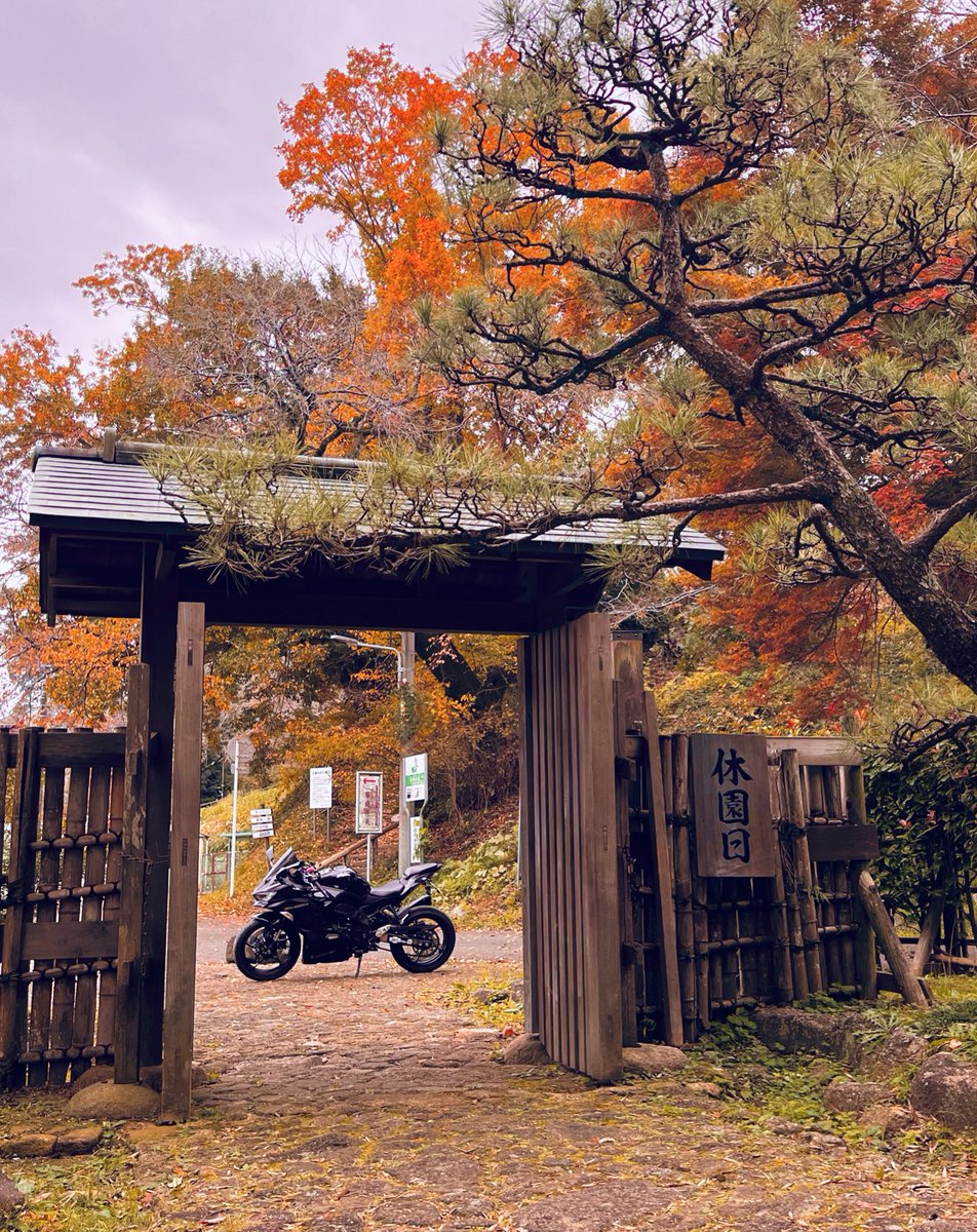 saorisen1209's tweet image. 柏市　日本庭園🍁🍂

2000坪の池泉庭園と露地を
同時に楽しむ事ができる場所です😊

人通りが少ないので

お気に入りの場所になってます

🧤🎶