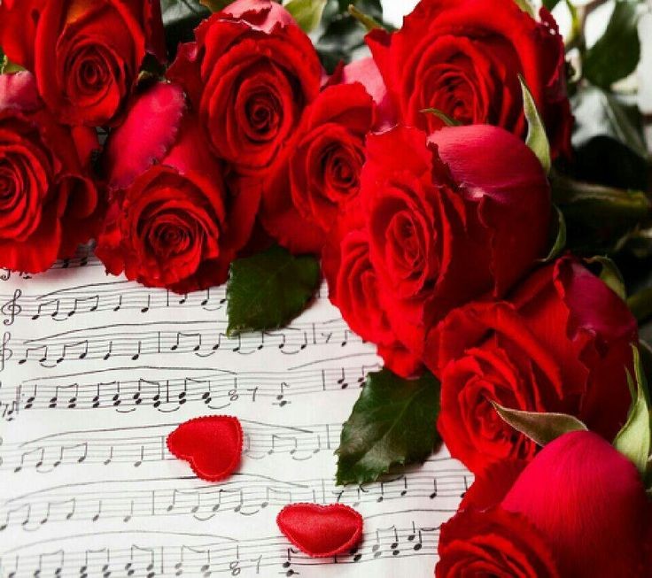 sylsue52's tweet photo. @haywardmusic Always and forever.... https://t.co/CdBX81BUgl