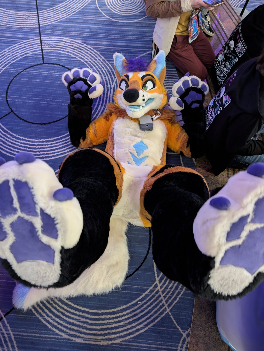 Foxyeen's tweet image. thanks for the chance to have my paws up 👀
heres my ref !

also, it looks like a pic I did in fursuit lol