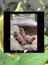 IsmaFlashy's tweet image. 638997016516364497_91638997016516364497_91370436Ballett Workshop Erwachsene 🩰👩Вечерняя прогулка по району нашёл новый магазин с спортивным оборудованием.