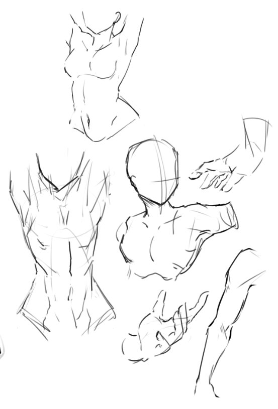 My chat got more excited about seeing my warm-ups than the actual work I went on to do wtf