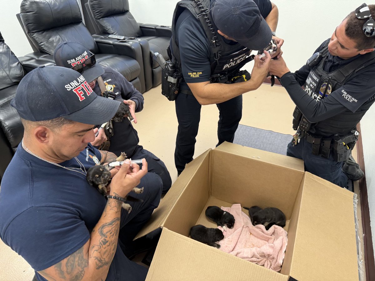 <a href="/SunlandParkFire/">Sunland Park Fire</a> personnel and Sunland Park Police Officers worked together to hydrate eight puppies that were found on the side of the road. 

A good samaritan found them in a box near Buena Vista Dr.

Animal control transported them to the animal shelter in Las Cruces,  NM