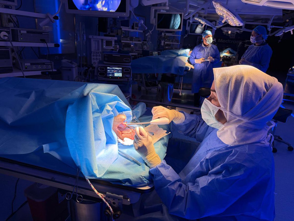 nadaats's tweet image. Bizact Workshop by Medtronic, Istanbul 24-25 Nov 
Wonderful course!