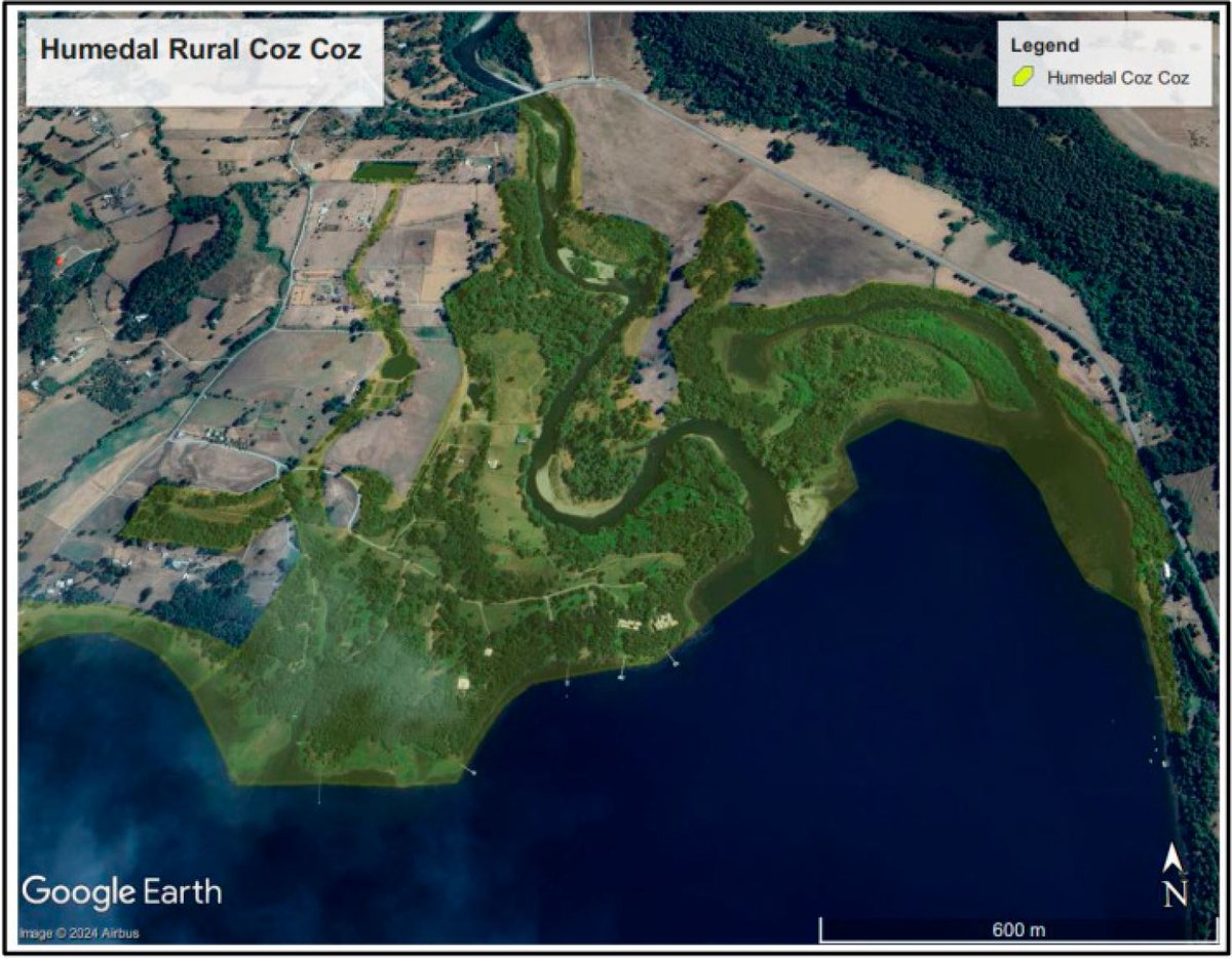 🔵NOTICIAS | Tribunal Ambiental resolvió anular declaratoria de humedales rurales en #Panguipulli

📌Municipio no tiene potestades legales para declarar humedales rurales; la ordenanza queda sin efecto.

📡Detalles en Noticias 3TA 3ta.cl 

#3TA #JusticiaAmbiental