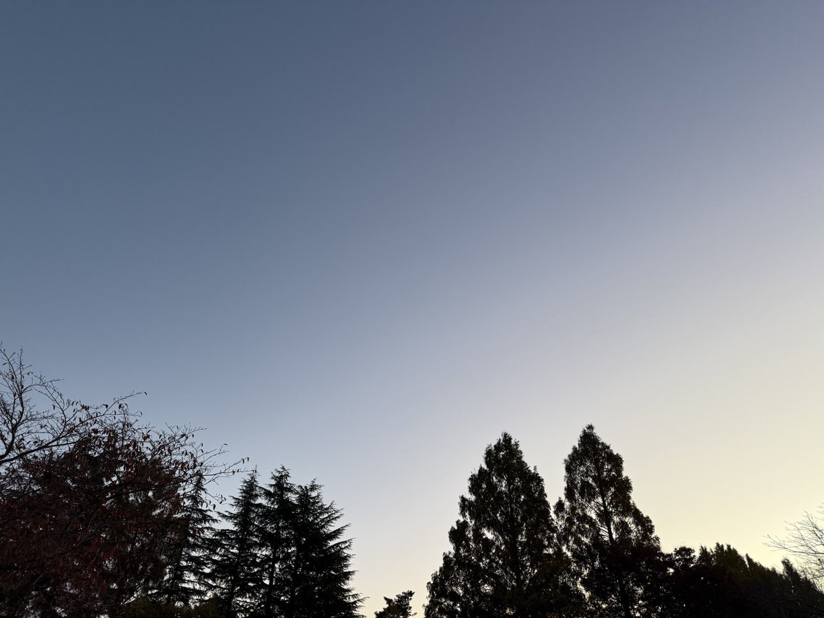 MSP_PiPi_san's tweet image. おはようございます☀
#イマソラ #ランニング #朝ラン #マラソン