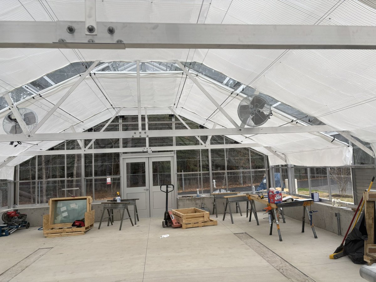 ACE at Virginia Randolph tweet media