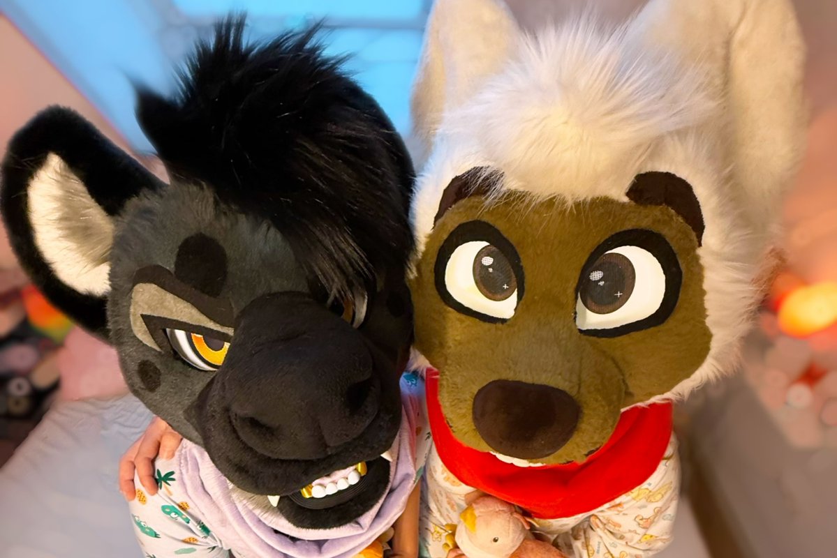 POV: you have the 🍪