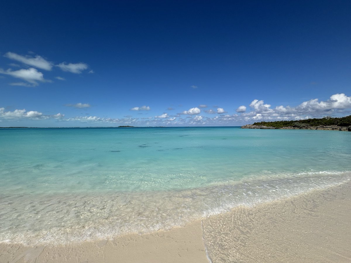 Gold Fedora Guy tweet media