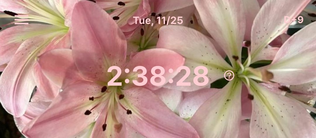 ayymakinambis's tweet image. ୭ ˚.𝒕𝒐𝒅𝒂𝒚&apos;𝒔 𝒔𝒕𝒖𝒅𝒚 𝒍𝒐𝒈 ᵎᵎ |25.11.25

#study #studytwt #studylog