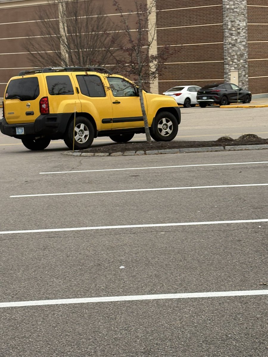 gabagool_papi's tweet image. Hope this person is careful where they park this SUV. You can cook steaks on that converter