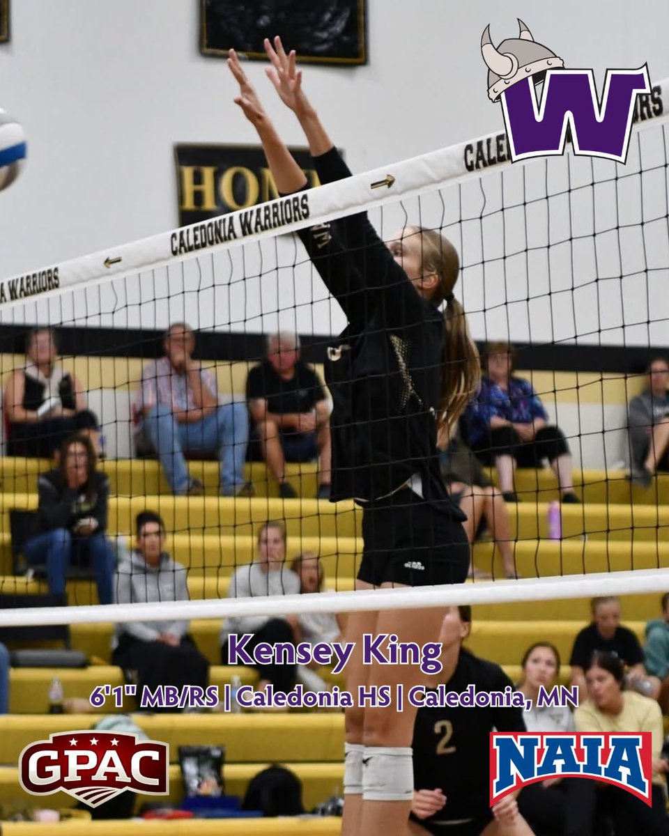 Waldorf Volleyball tweet media
