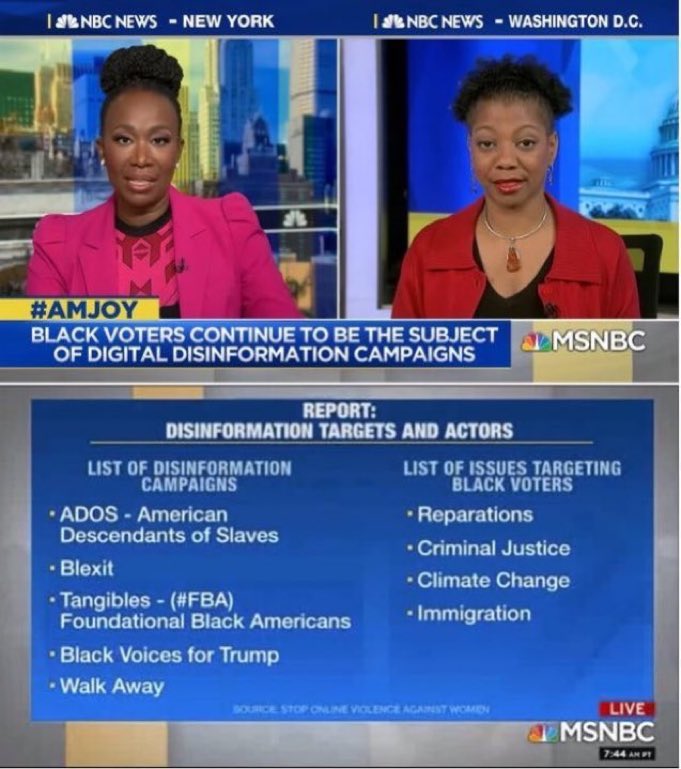 Black_Action's tweet image. I don’t know why Joy Ann Reid references a “400 year head start.”
She had no problem promoting a campaign to demonize and otherize Black Americans advocating for reparations.