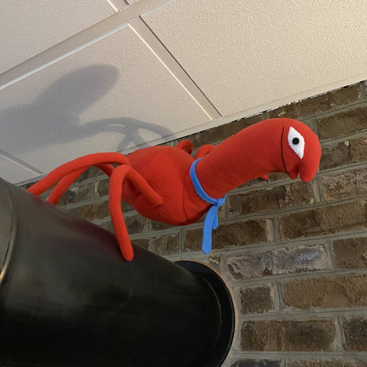 basicallyedd's tweet image. me was born this way
#smilingfriends