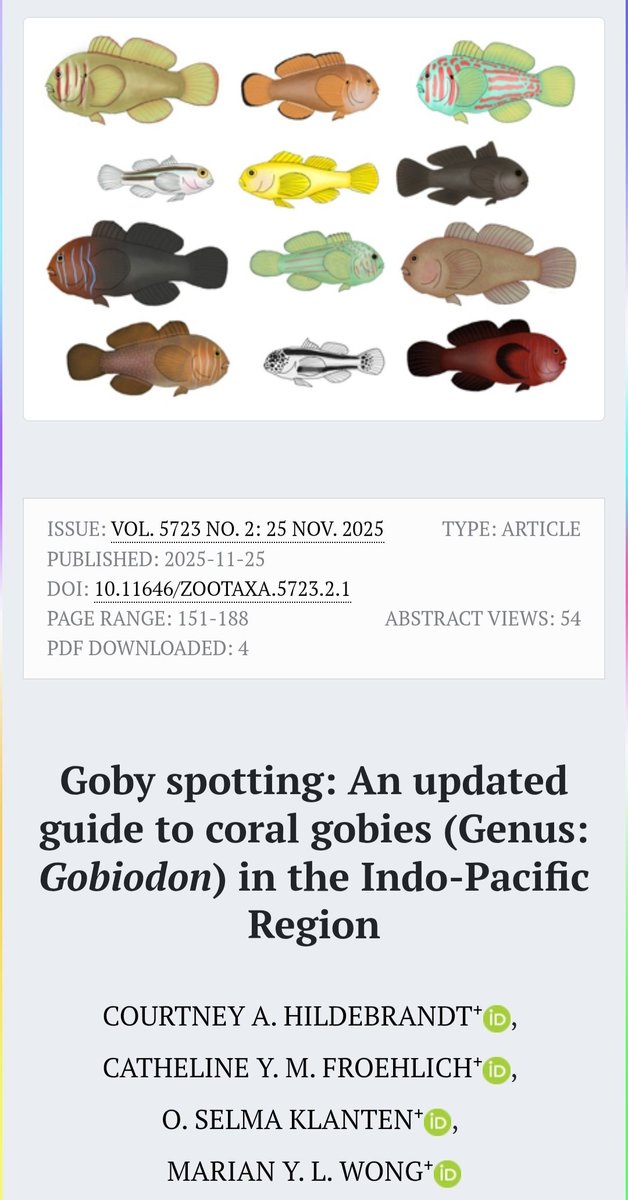 Courtney Hildebrandt (she/they) tweet media