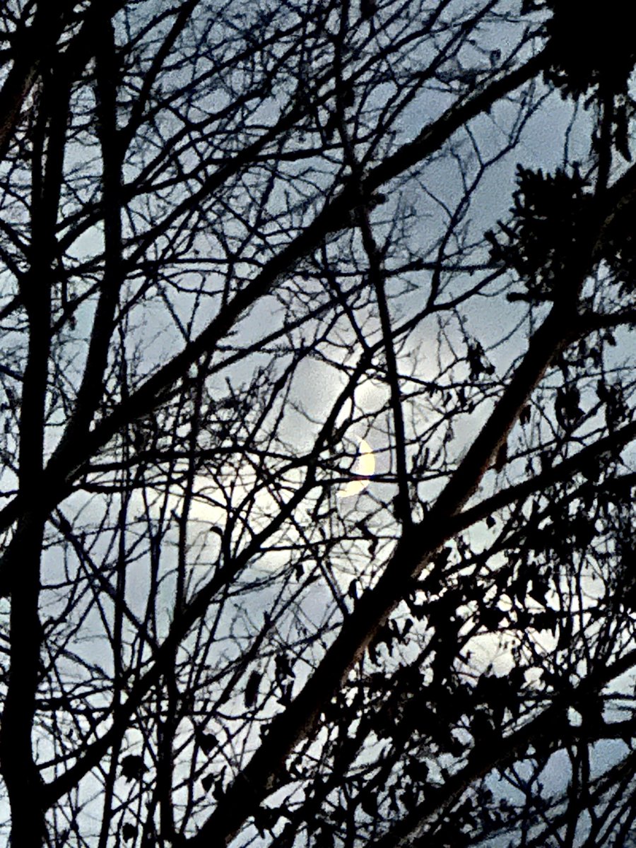 btleparadis's tweet image. Bonne soirée 🖤🩵🌙🩵🖤