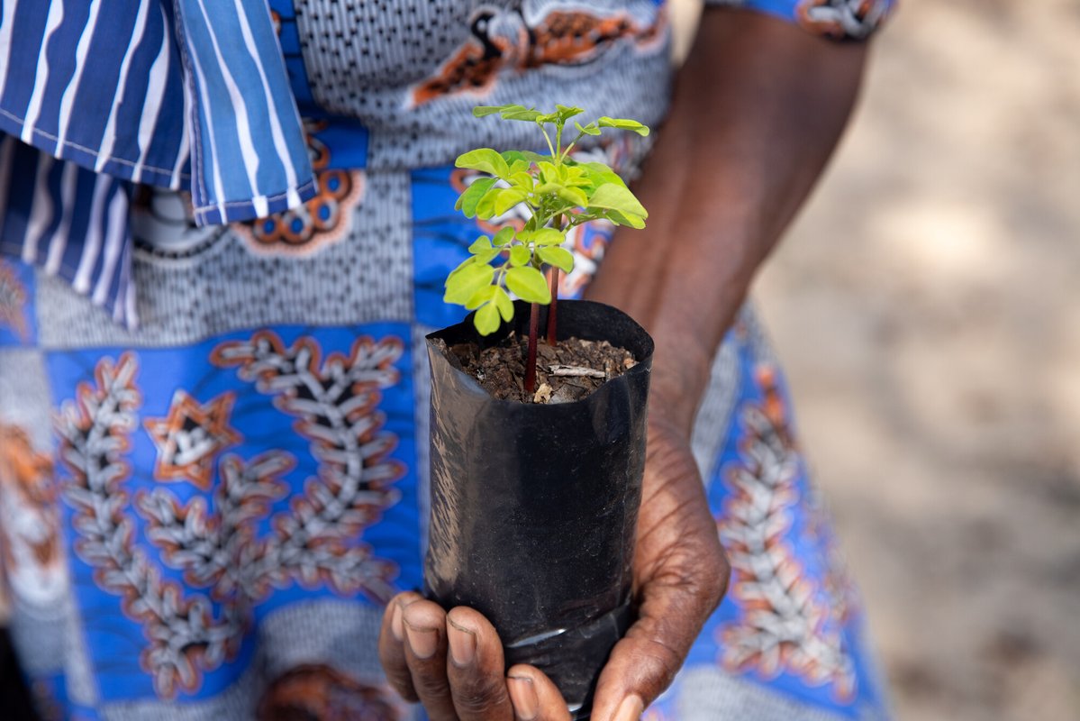 IUCNClimateTeam's tweet image. The LINCZ project uses Indigenous NbS + gender-transformative tools like Men Can Cook to reduce GBV risks.

Join our GBV-Env webinar on Dec 3: shorturl.at/w1XQ4

#16Days #NoExcuse #EndGBV #IUCN #ForAllWomenAndGirls

@mccpeace @IUCN @NAbSA_climate @IUCN_Gender @CanadaDev