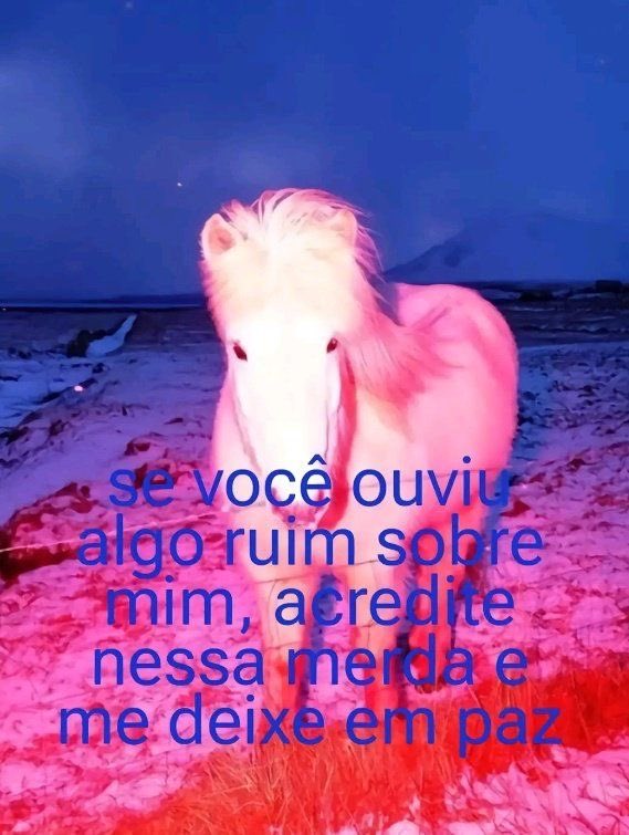 vamp4ire's tweet image. 