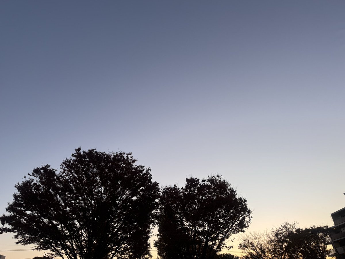 kouji1425's tweet image. おはようございます(^O^)／
11/26 6:35 東京都下は気温6.0℃湿度88% 良いお天気で朝は冷えてますが、日中は暖かくなりそうですね〜😅
寒暖差で体調崩さないように十分お気をつけください🙇‍♀️
今日も笑顔で楽しい一日をお過ごしください(^-^)v
#イマソラ #いまそら #青愛会 #花彩華