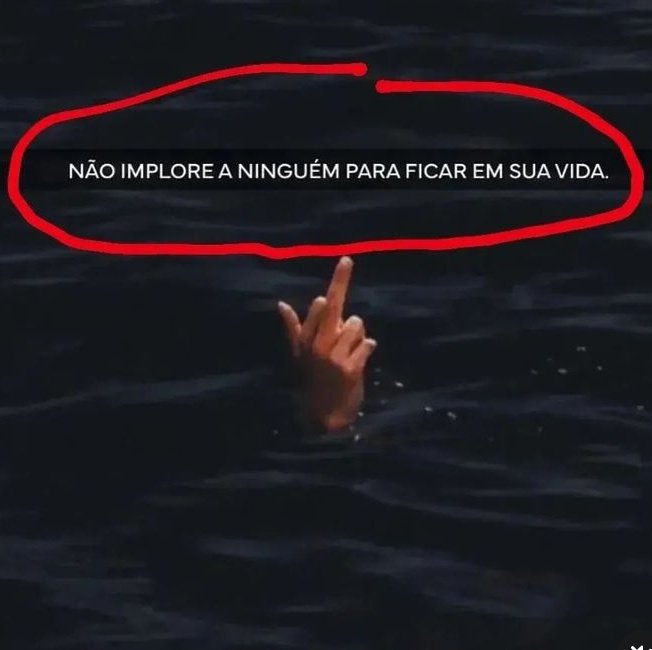 Privacidades's tweet image. 