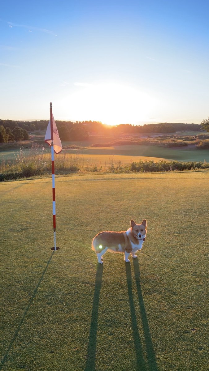 MichaelMageles's tweet image. Sipsey has one!