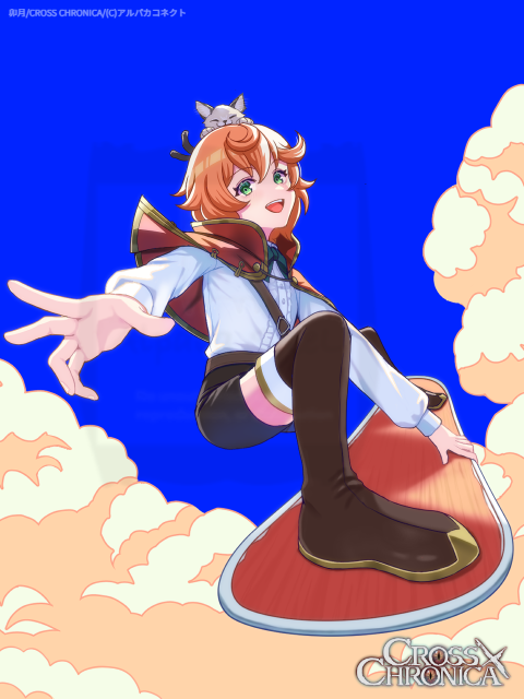 アルパカコネクト】