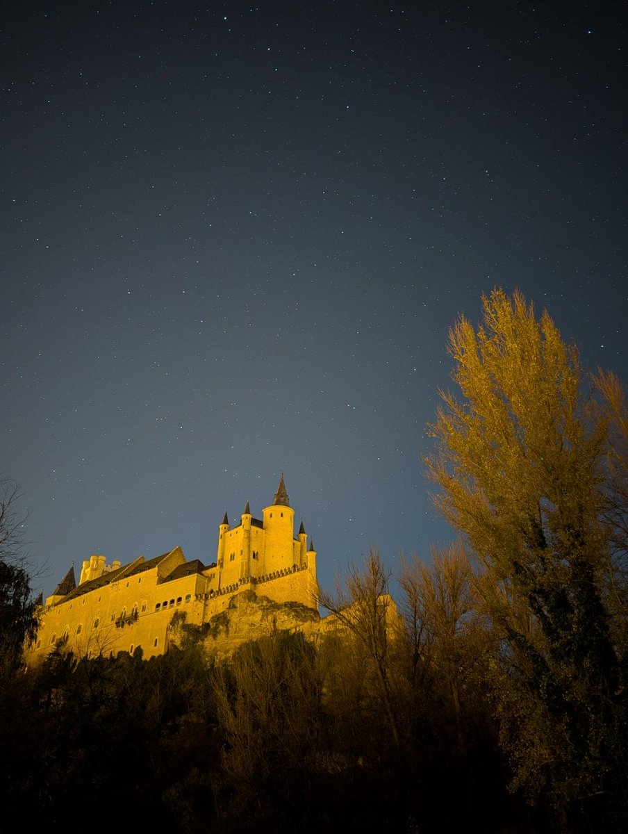 dani90's tweet image. 