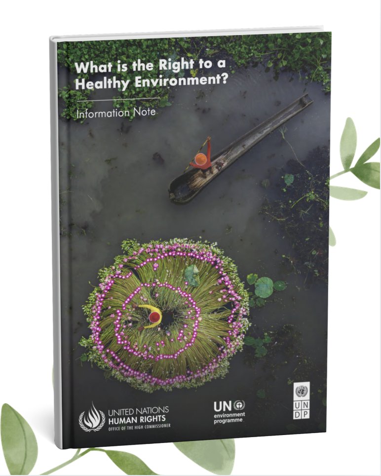 --> ¿Qué es el derecho a un medio ambiente sano?
📖#ParaLeer | #EnInglés | <a href="/UNDP/">UN Development</a> 

Esta nota informativa analiza cómo diversas partes interesadas pueden desempeñar un papel activo para hacer de este derecho una realidad para tod@s.

⬇️⬇️ (Año: 2023)
undp.org/publications/w…