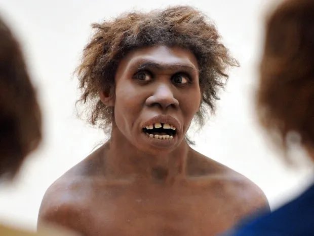 Jakeesposito22's tweet image. The Pagayns who are rlly all just Atheistic nihilists (the religion that created Weimar) want White ppl to believe we all come from one sheboon in sub-Sahara Africa b4 living in caves for 40,000 years wal nons built the pyramids. They push this theology to demoralize White ppl.