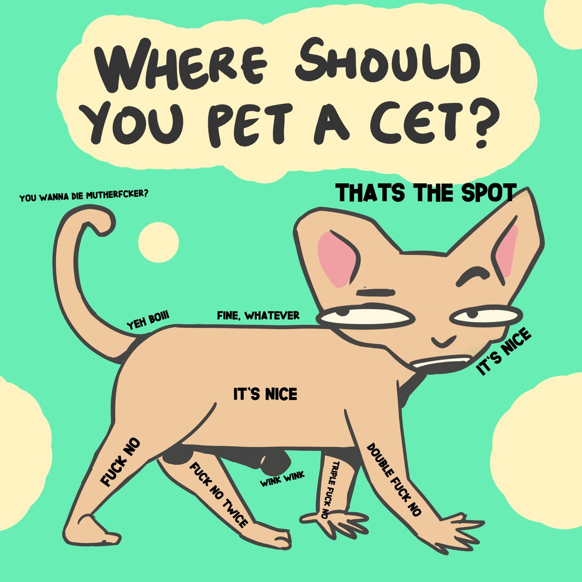 Cets tweet media
