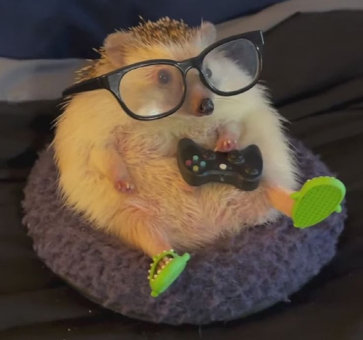 ✨🌌•Chiwii•🌌✨🦔🎄 tweet media