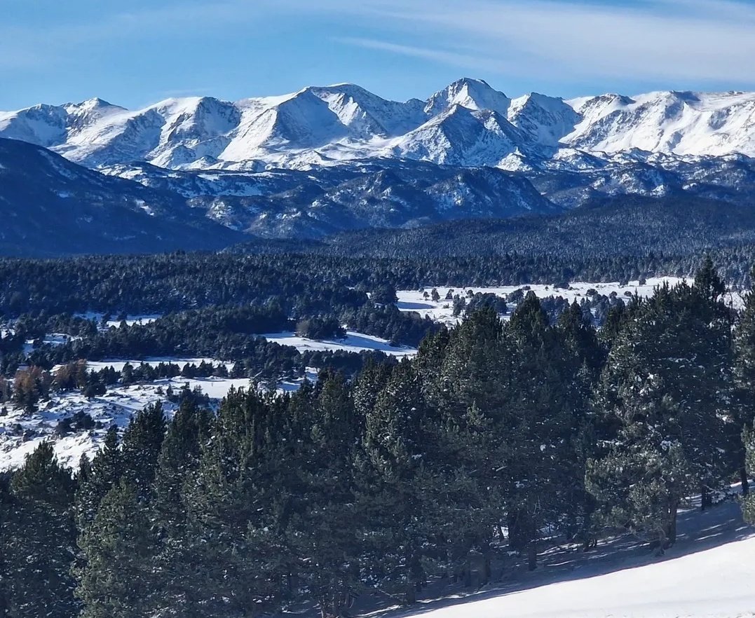 El massís del Carlit, vist de baixada del coll de la Llosa. #conflent #pyreneesorientales