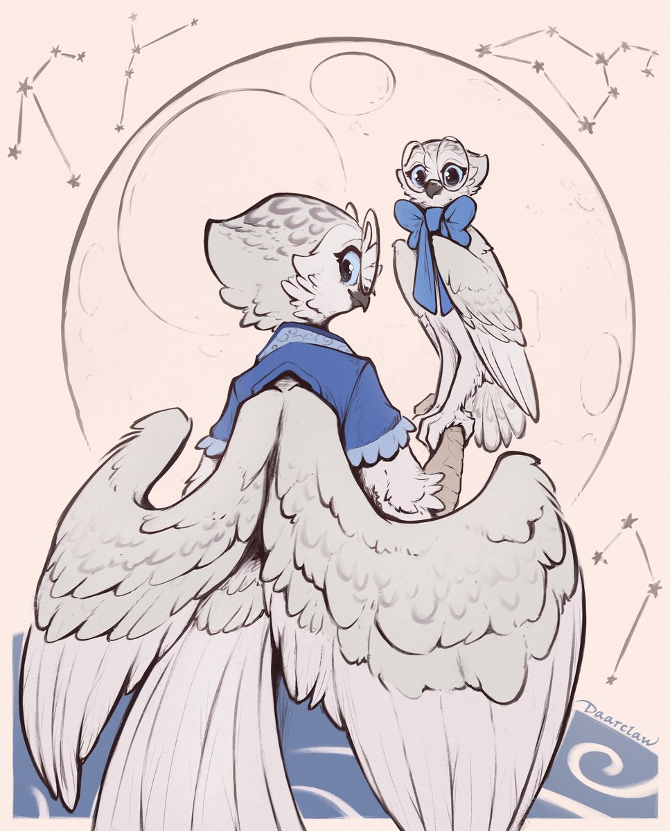 Use only ONE art to convince people to follow you 🪶