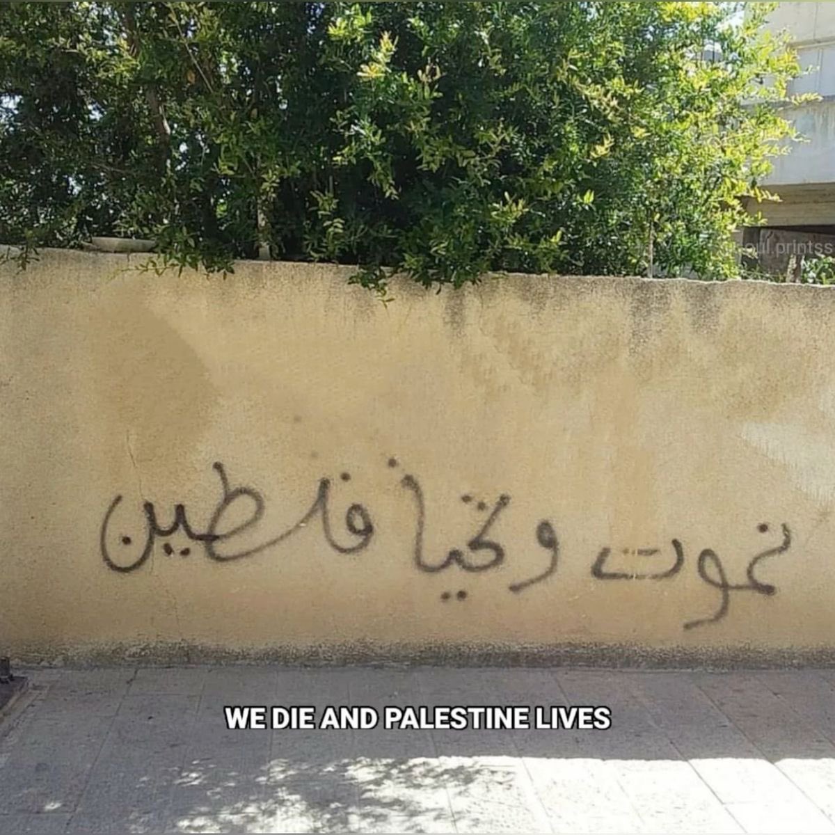 1964archives (@1964archives) on Twitter photo 