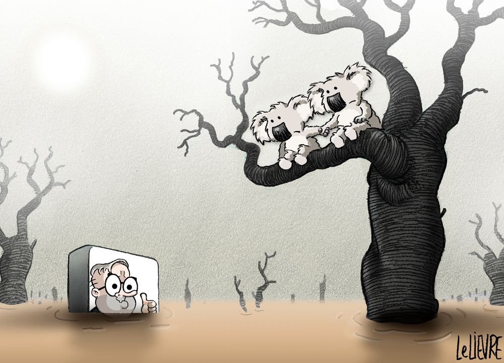 JonesHowDareYou's tweet photo. Glen Le Lievre. #auspol #CoolAndNormal https://t.co/gwaM9uYf7c