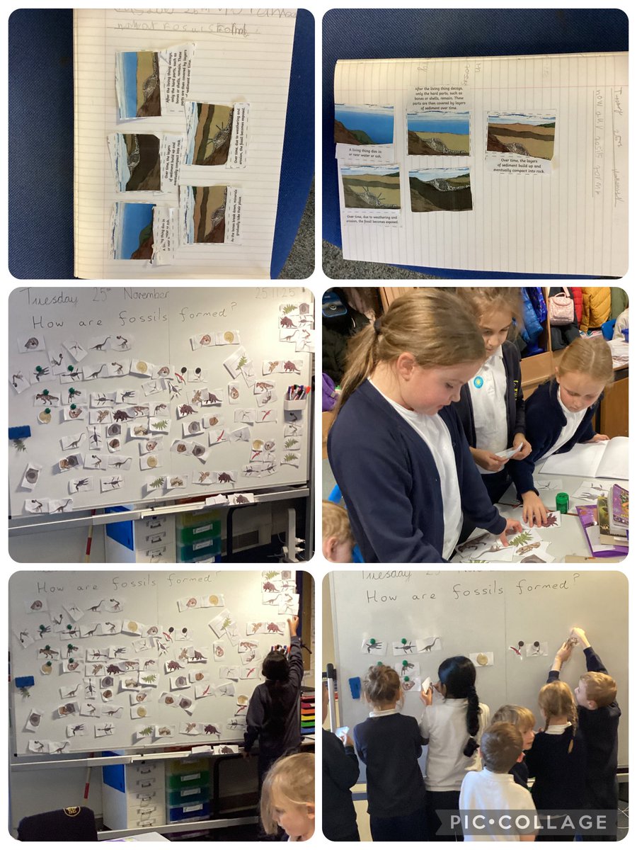 In Science today we were looking at the fossilisation process. As we already know, fossils can sometimes be found in sedimentary rocks. <a href="/ScienceStEliz/">Science-StElizabeth's</a>