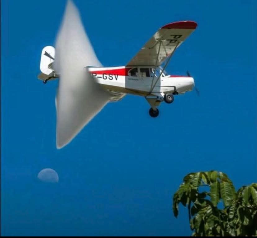 The Clemson Corps tweet media