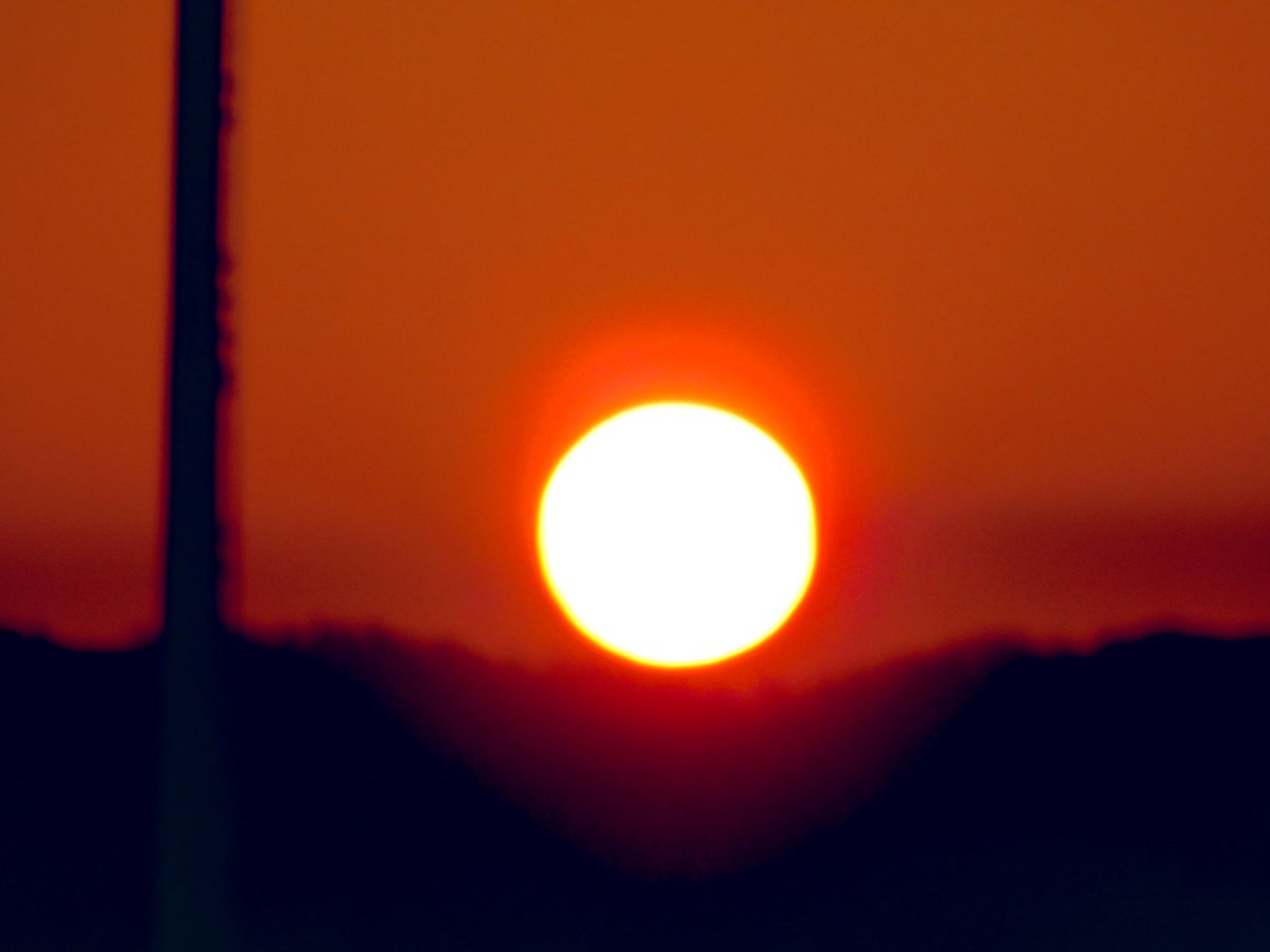 y_catanddog's tweet image. 11月26日
おはようございます
今日の、予想気温
2度〜4度
最優秀バッテリー
日本ハム
伊藤大海
伏見寅威
受賞、おめでとうございます