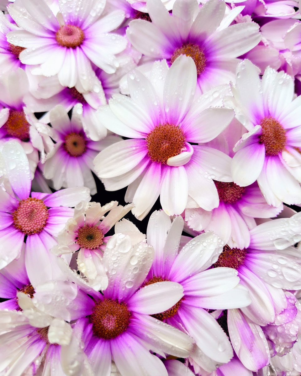 おはよ🩷熊本阿蘇震度5強!心配💦忘れた頃にやって来る…何ができるのか…
今日はいいお風呂の日!この間温泉の蛇口がもげた🙀軽く足が当たっただけで…仕方ないので自分でDIY!Youtube見てホームセンターへ!意外と何とかなるものでw家も人間も経年劣化~メンテナンスは必須!仕方ないそれも楽しんじゃう🌈